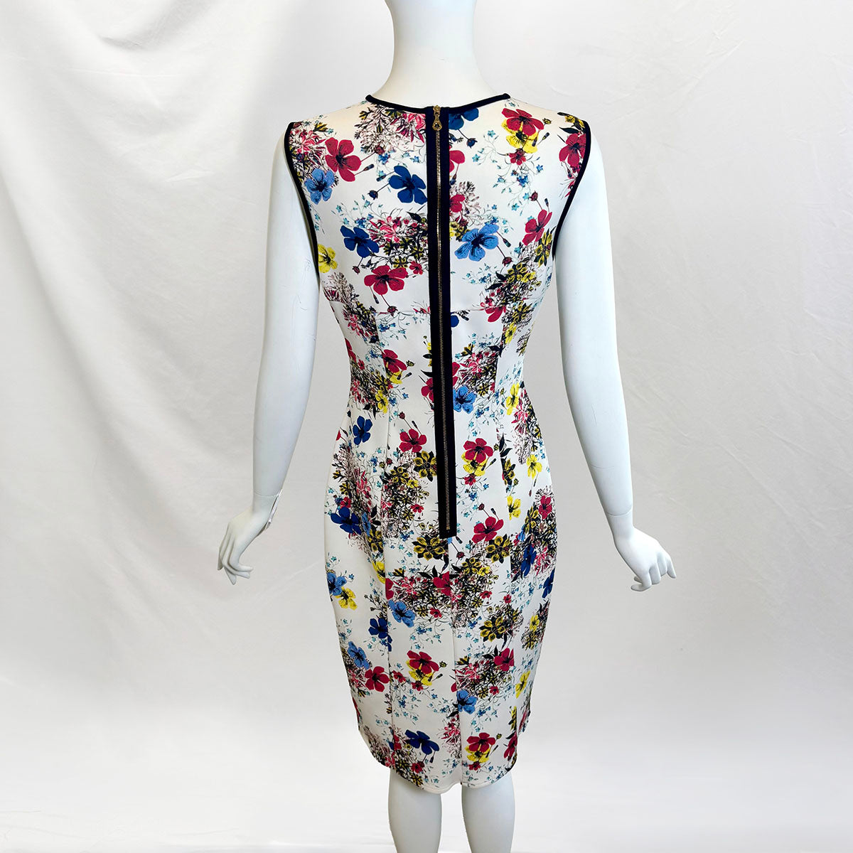 Erdem Dress