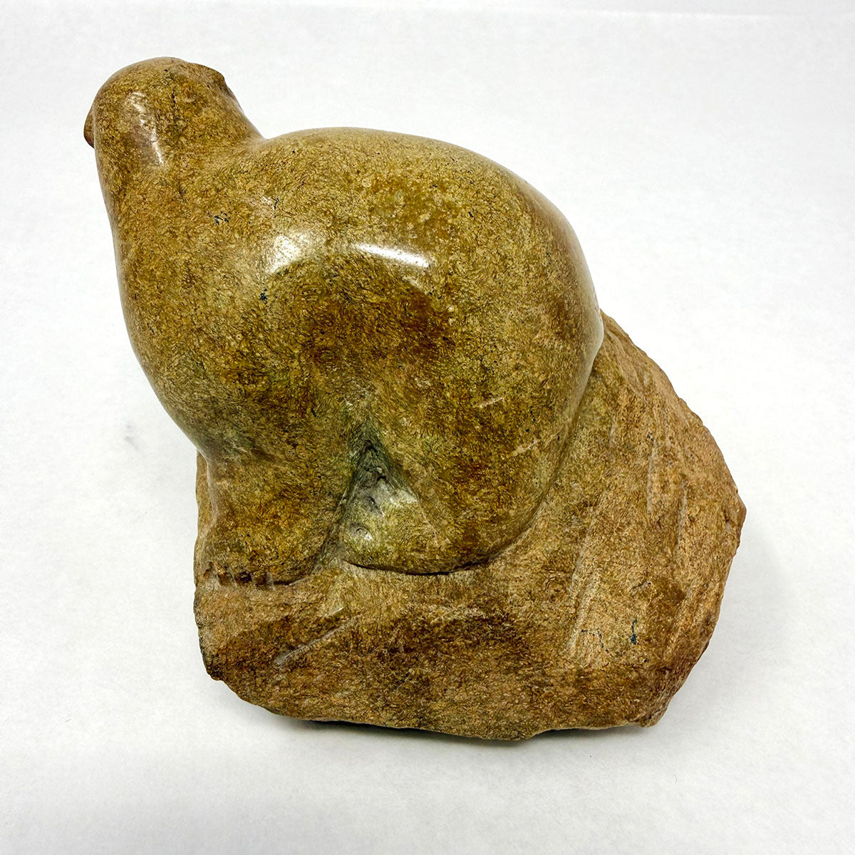 Soapstone Bear