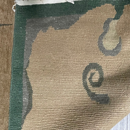 Sea Green & Brown Area Rug