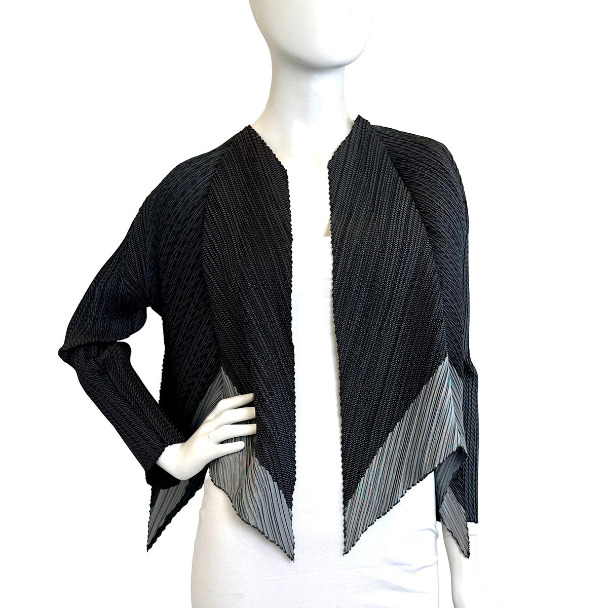 Issey Miyake Jacket