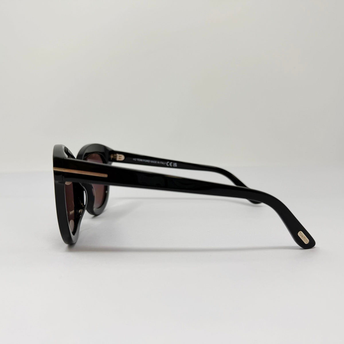 Tom Ford Odette Tinted Sunglasses