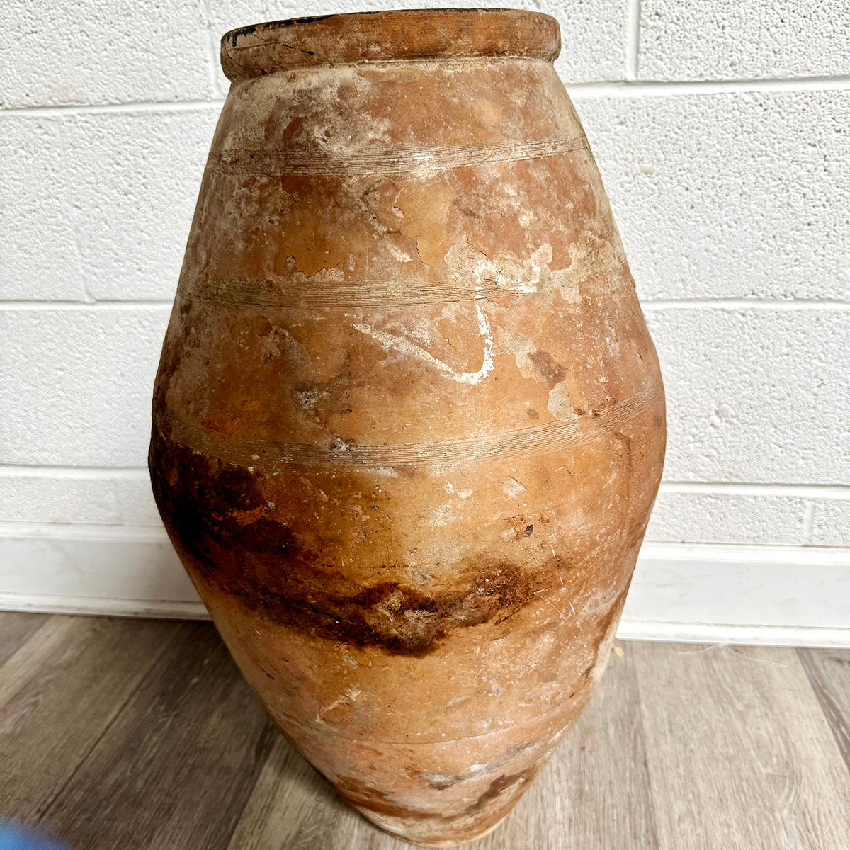 Large Olive Pot