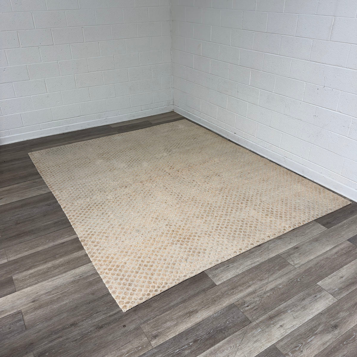 Tan Area Rug