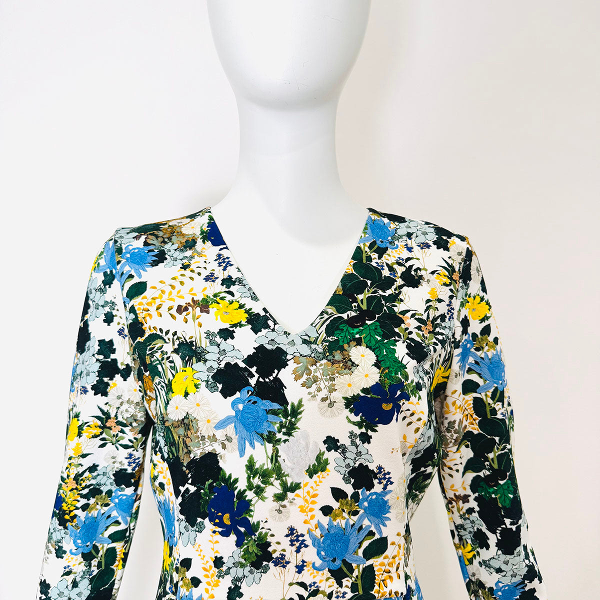 Erdem Dress