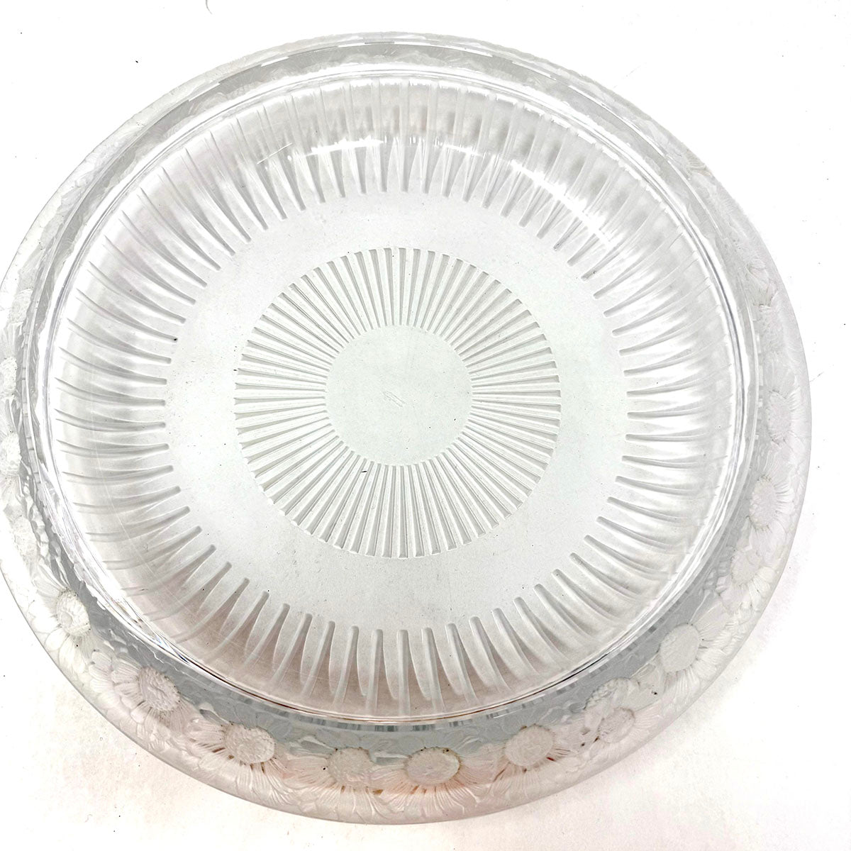 Marguerite Daisy Shallow Bowl