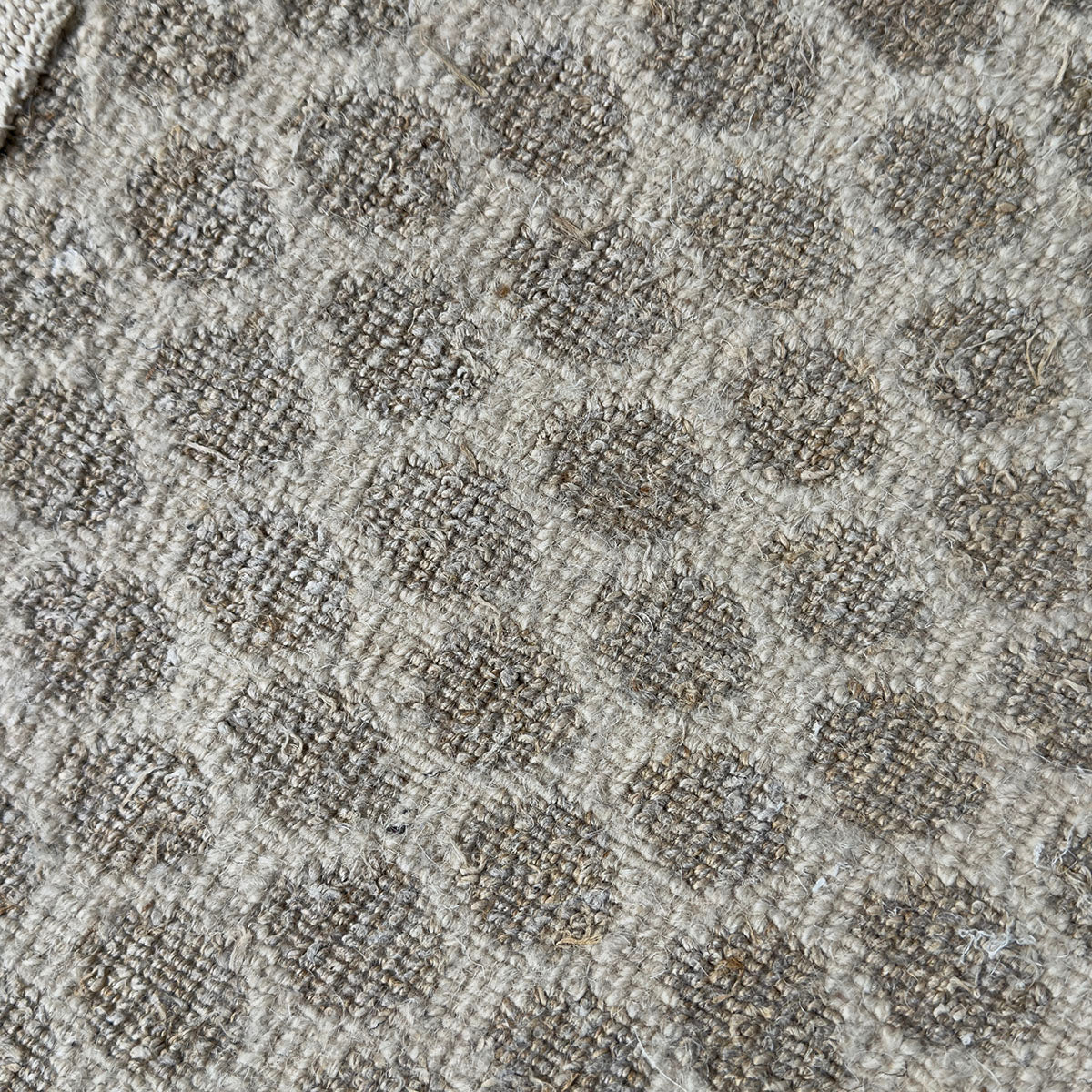Tan Area Rug