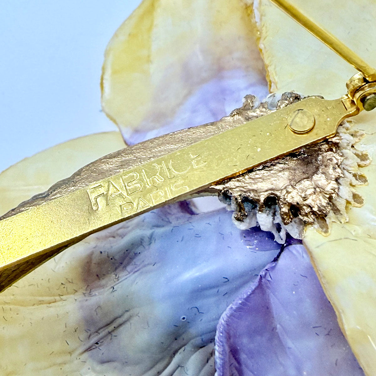 Fabrice Pin