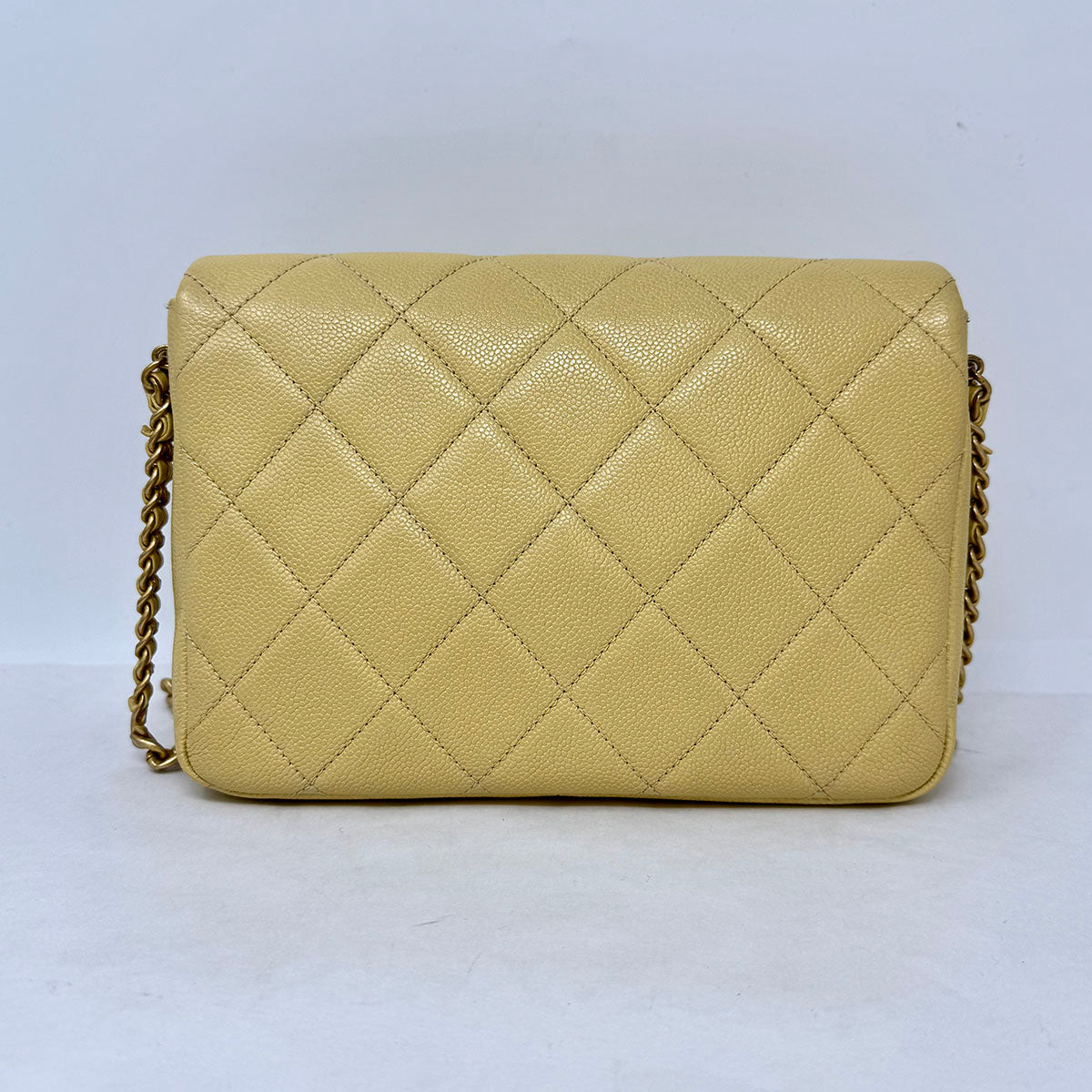 Chanel Small Chain Melody Flap Bag