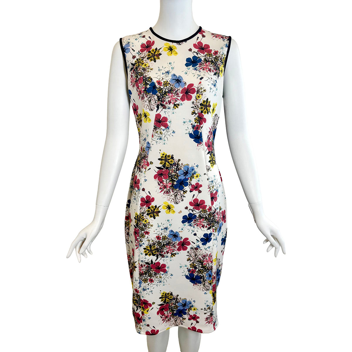 Erdem Dress