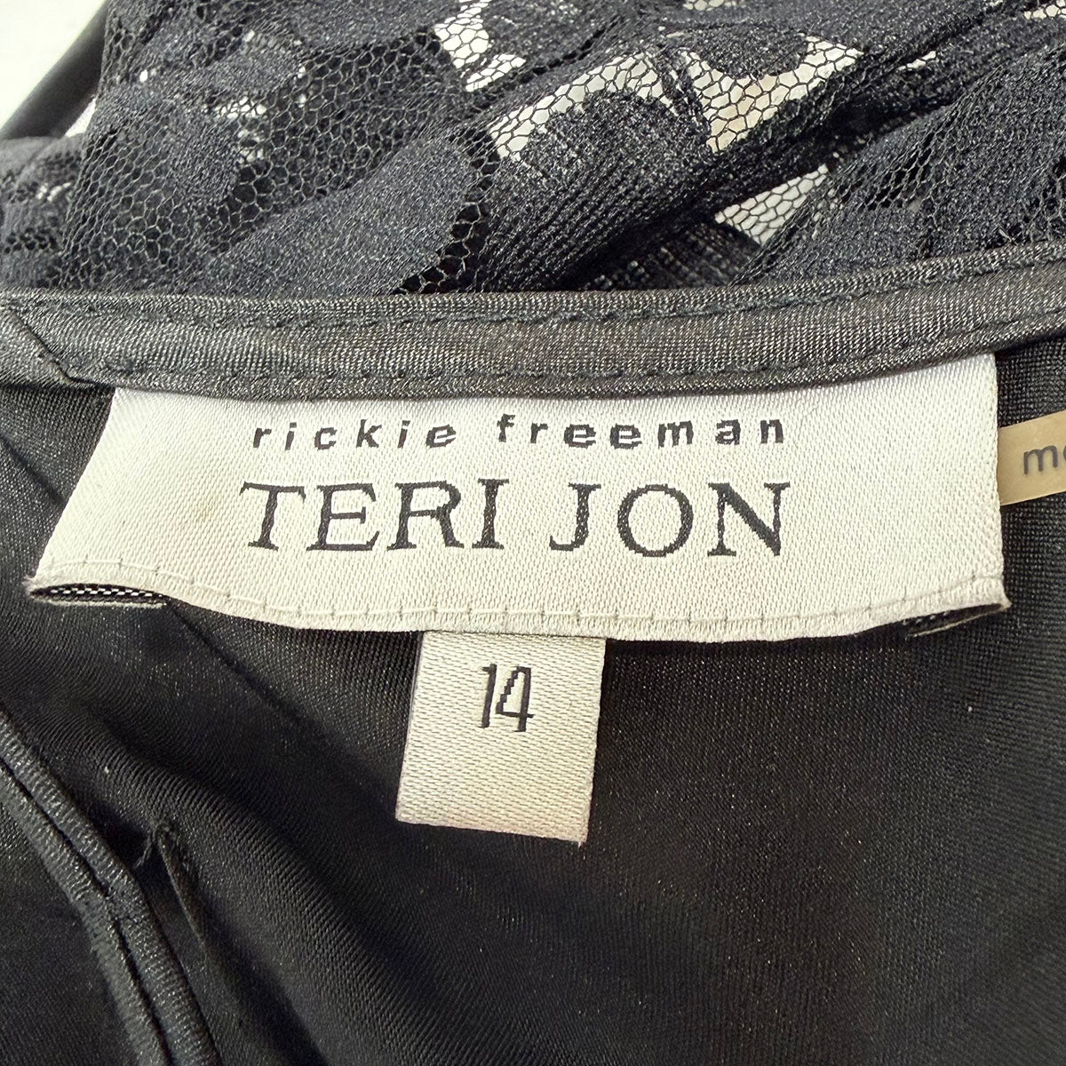 Teri Jon Gown/Evening Wear