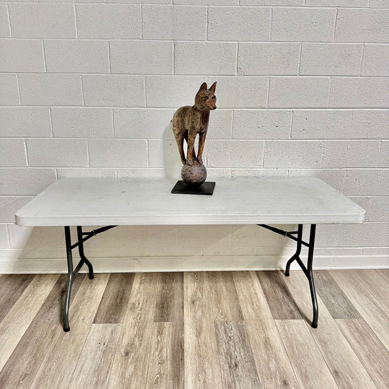 "Fox Balanced on a Ball"