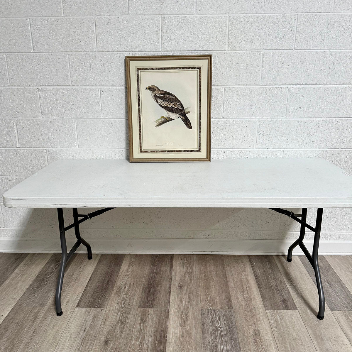 "Booted Eagle" Drawn from Nature Print