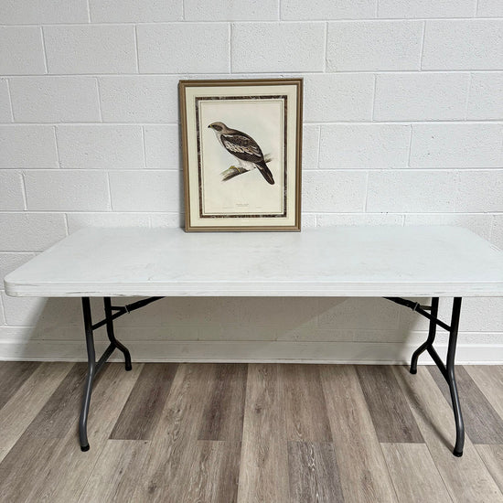 "Booted Eagle" Drawn from Nature Print