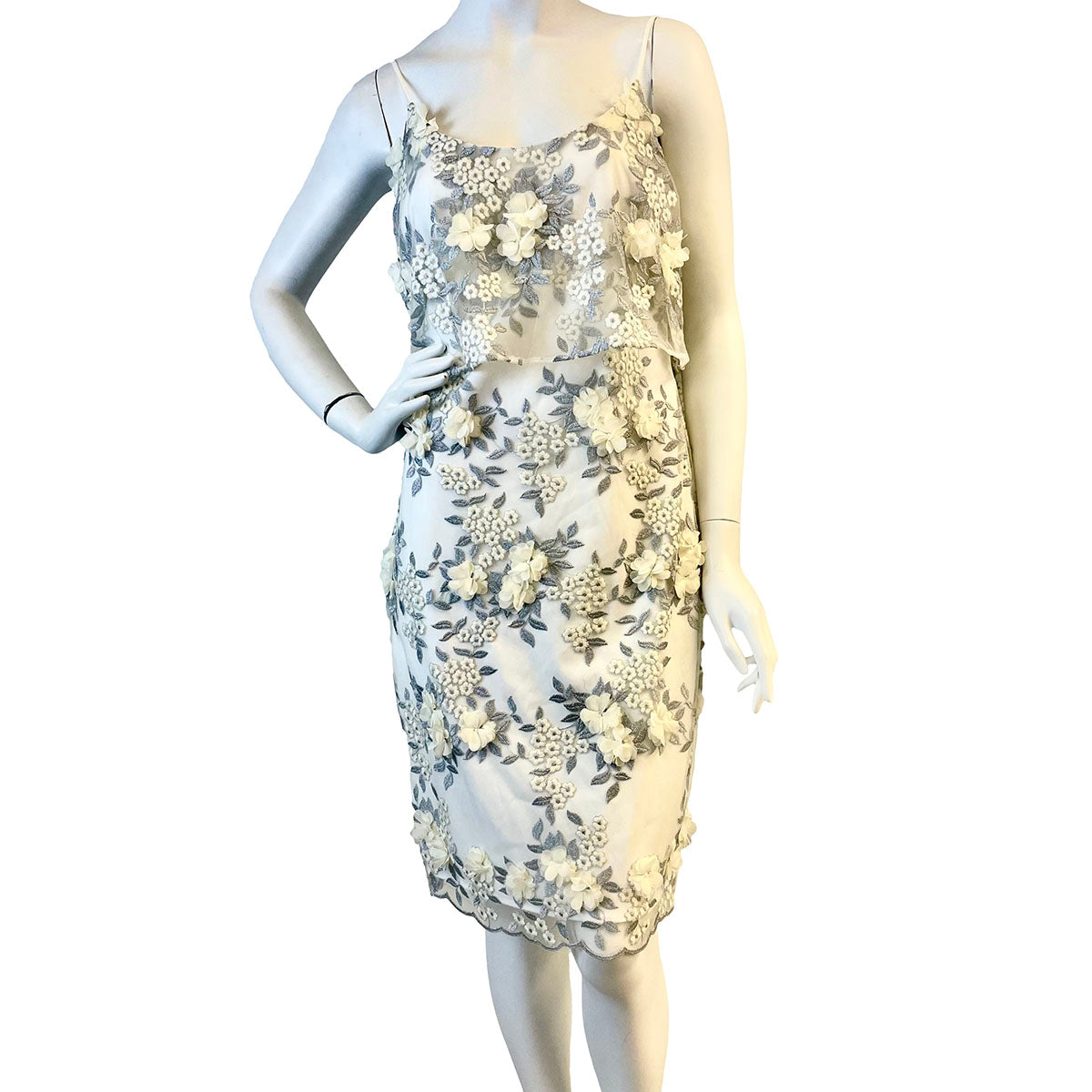 Badgley Mischka Evening Dress