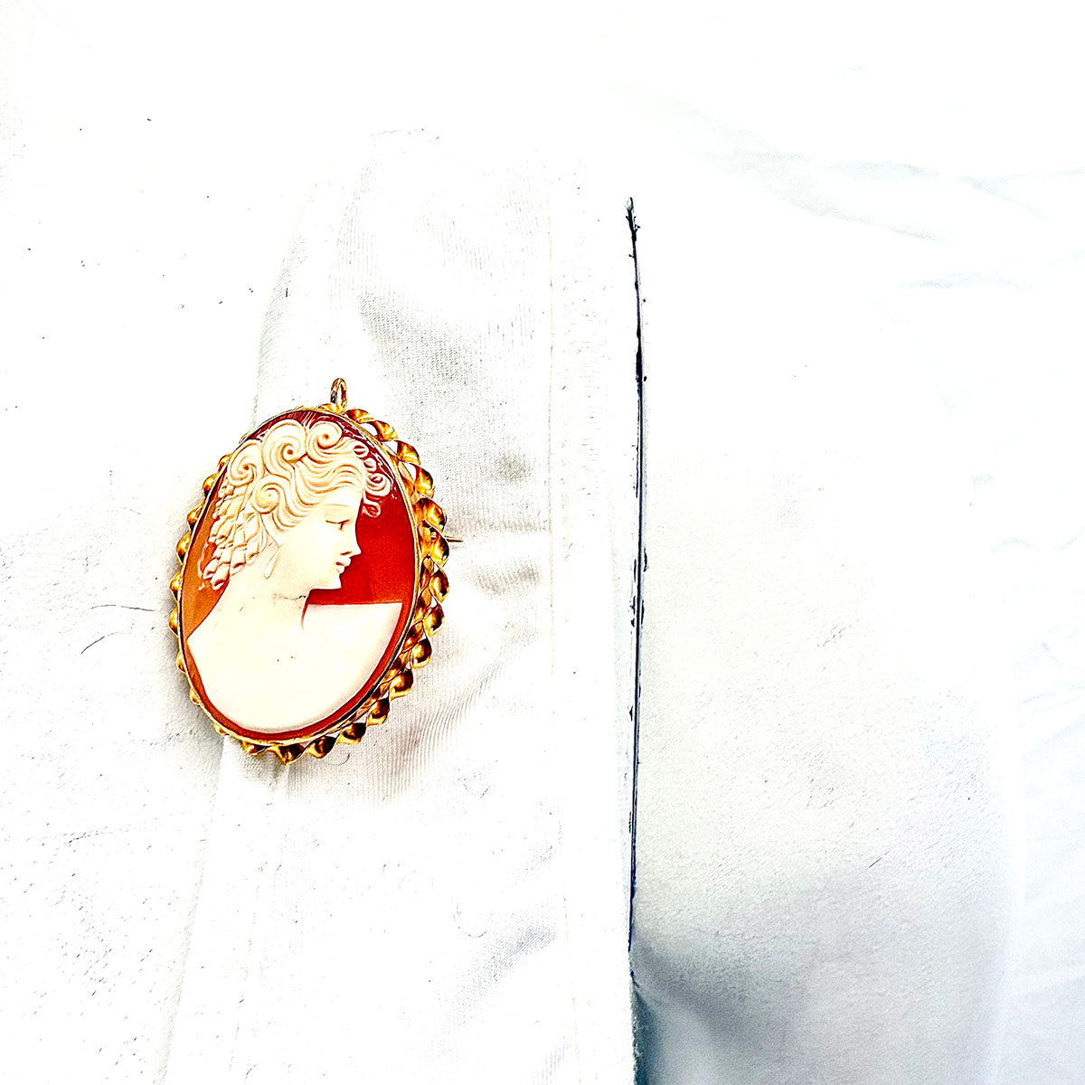 Cameo Pendant/Pin