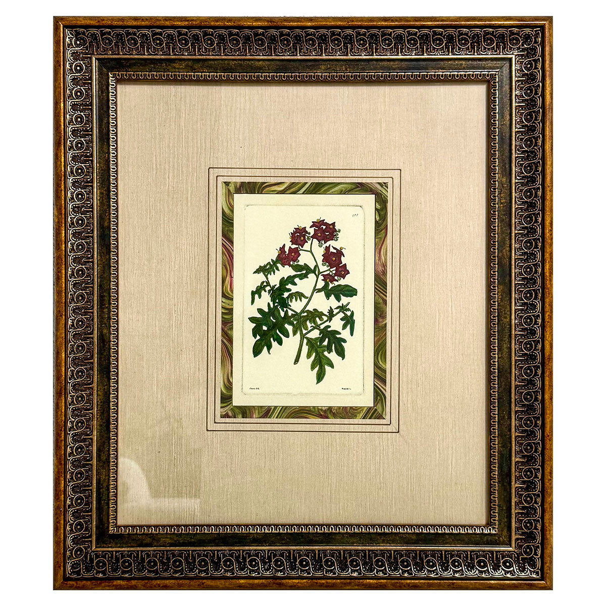 Framed Botanical Print