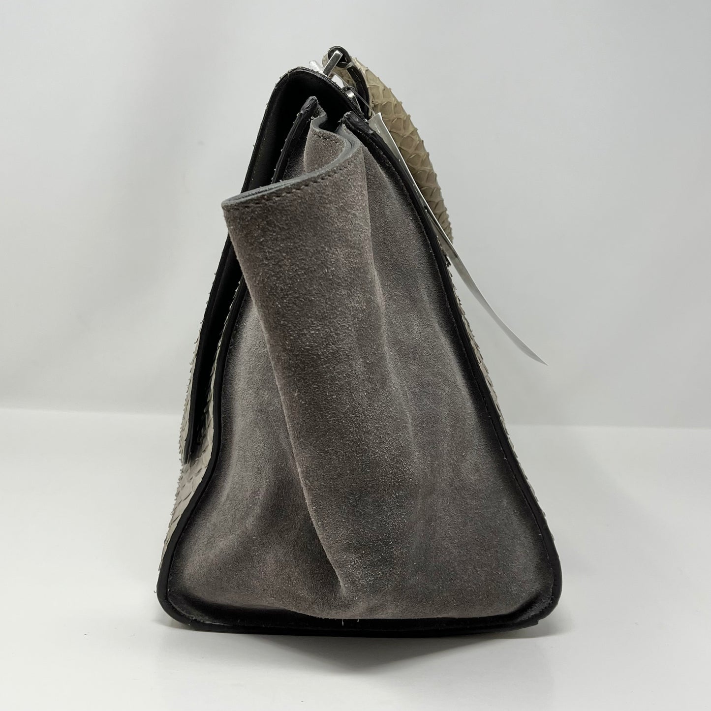 Celine Python Trapeze Shoulder Bag