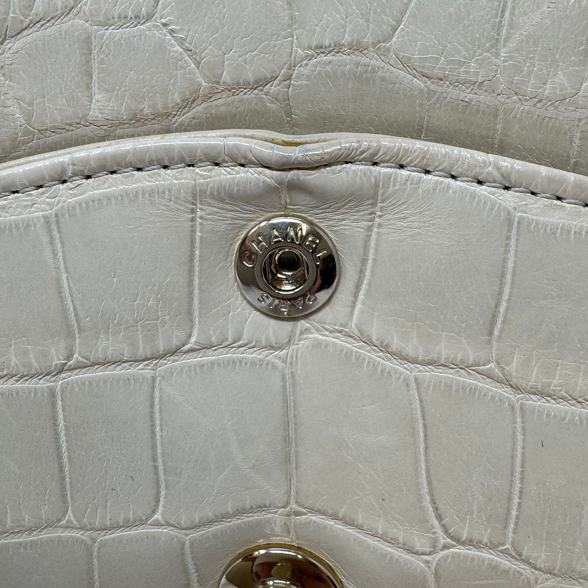 Chanel Medium Alligator Classic Double Flap Bag