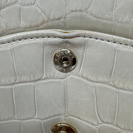 Chanel Medium Alligator Classic Double Flap Bag