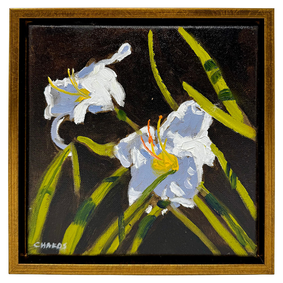 "White Stargazer Lily" Painting Signed