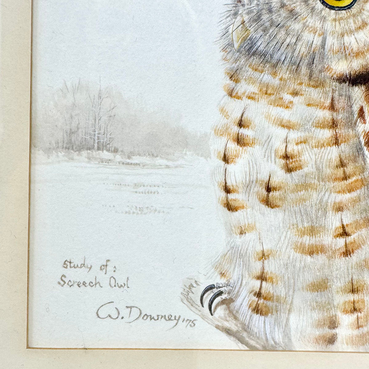 Framed Painting "Study of a Screech Owl" signed