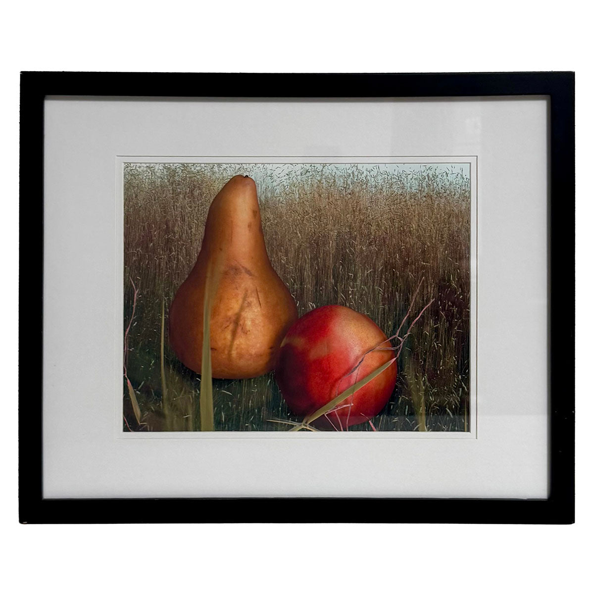 "Fruit Outstanding in the Field" Print