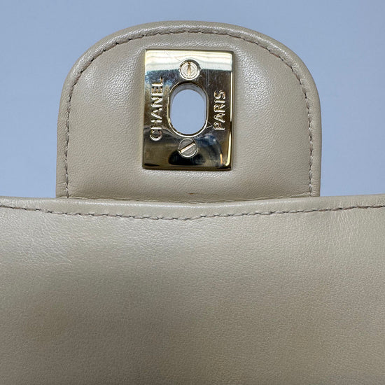 Chanel Medium Alligator Classic Double Flap Bag