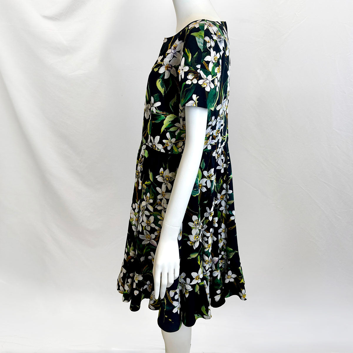 Dolce & Gabbana Dress