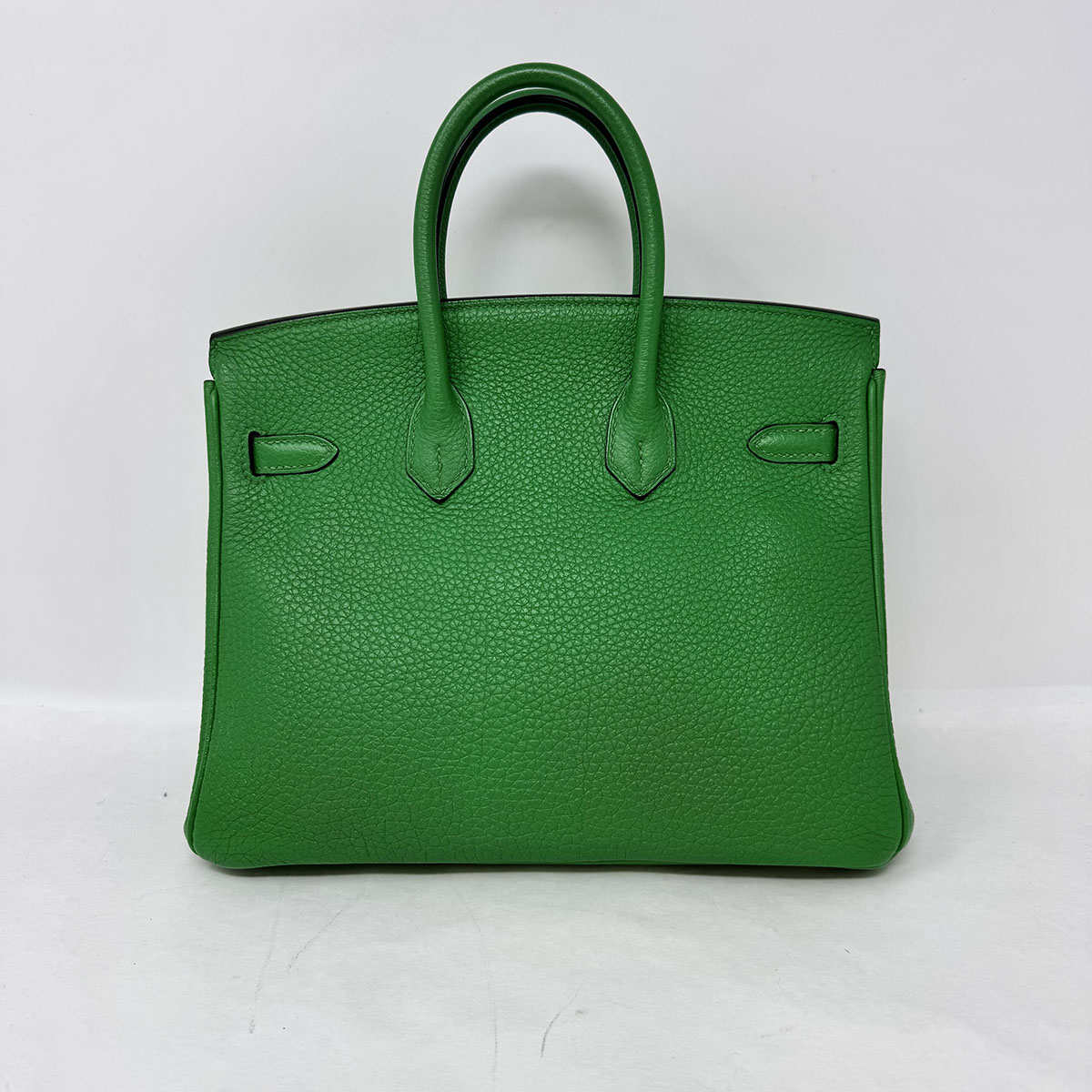 Hermes 2014 Clemence Birkin 25