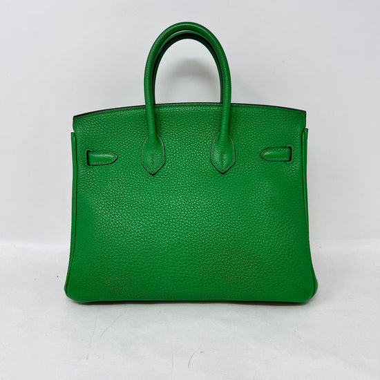 Hermes 2014 Clemence Birkin 25