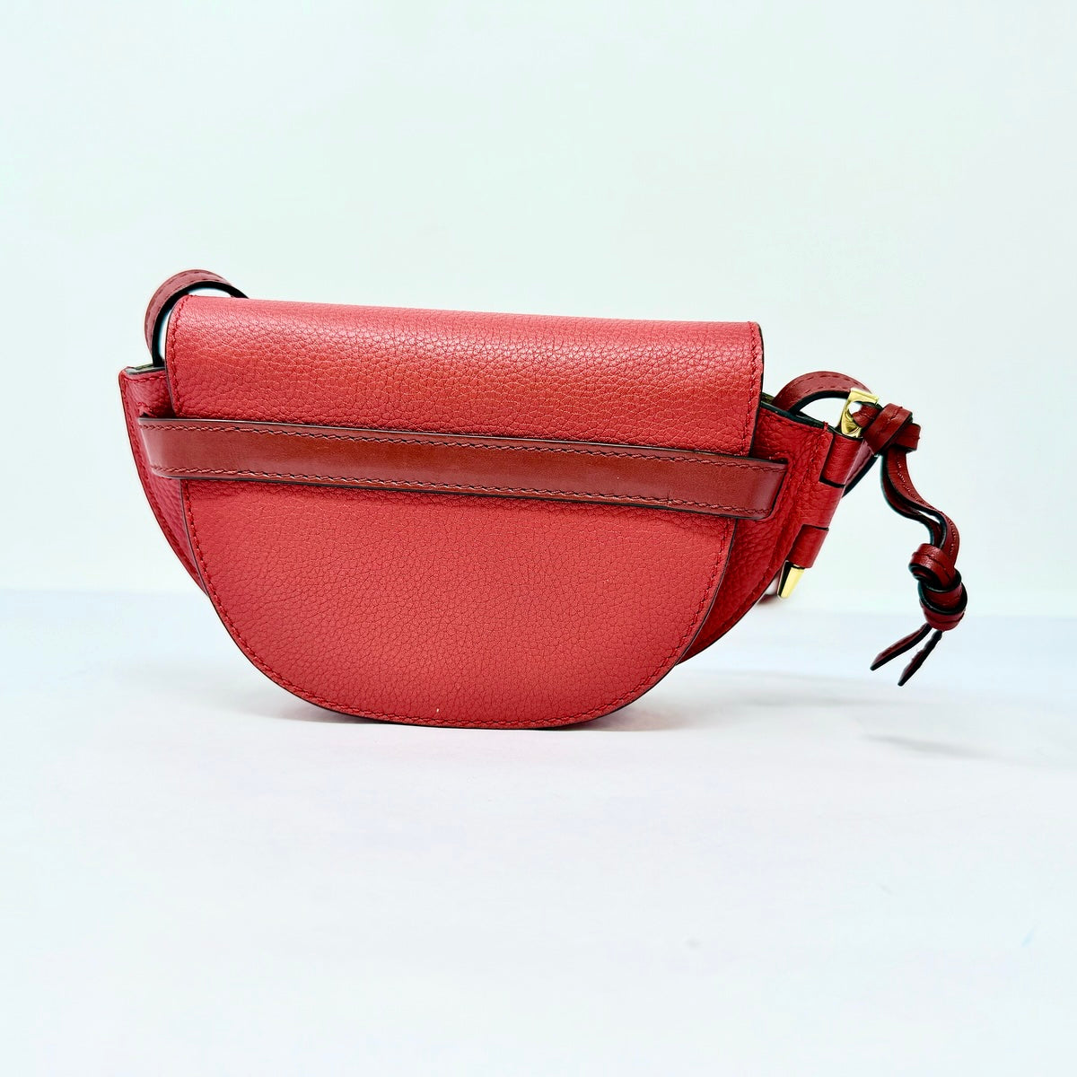 Loewe Leather Bicolor Gate Bag