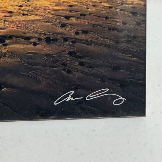 "Surfer" Signed