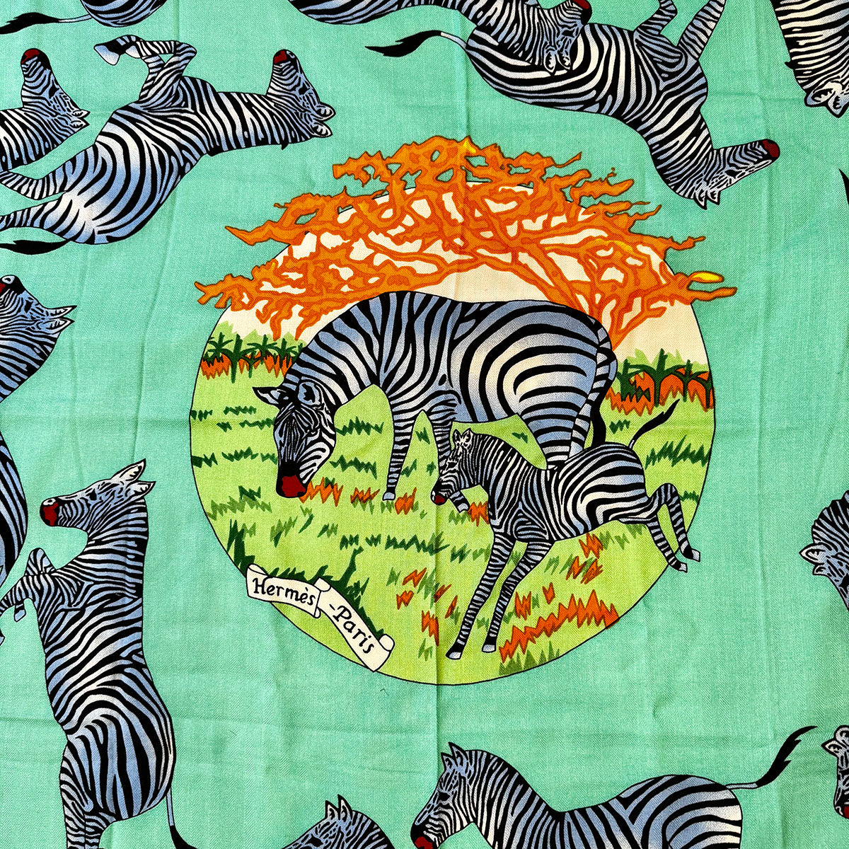 Hermes "Zebra Motif" Shawl