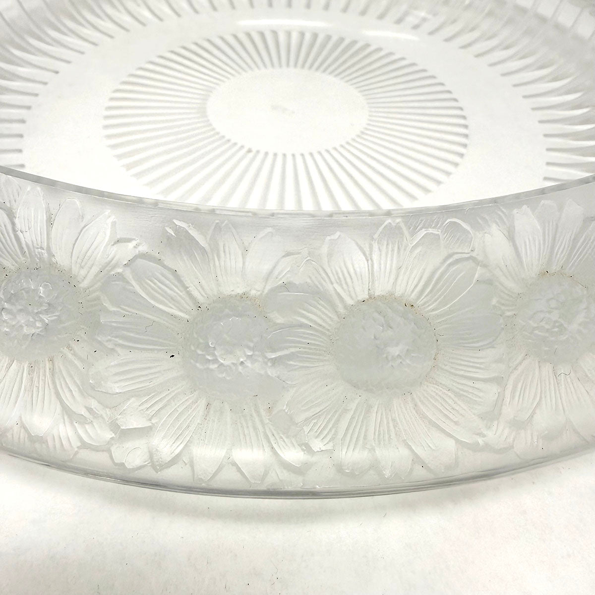 Marguerite Daisy Shallow Bowl