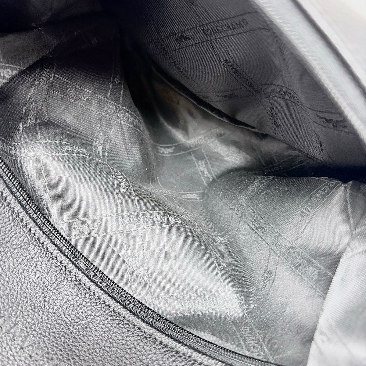 Longchamp Backpack