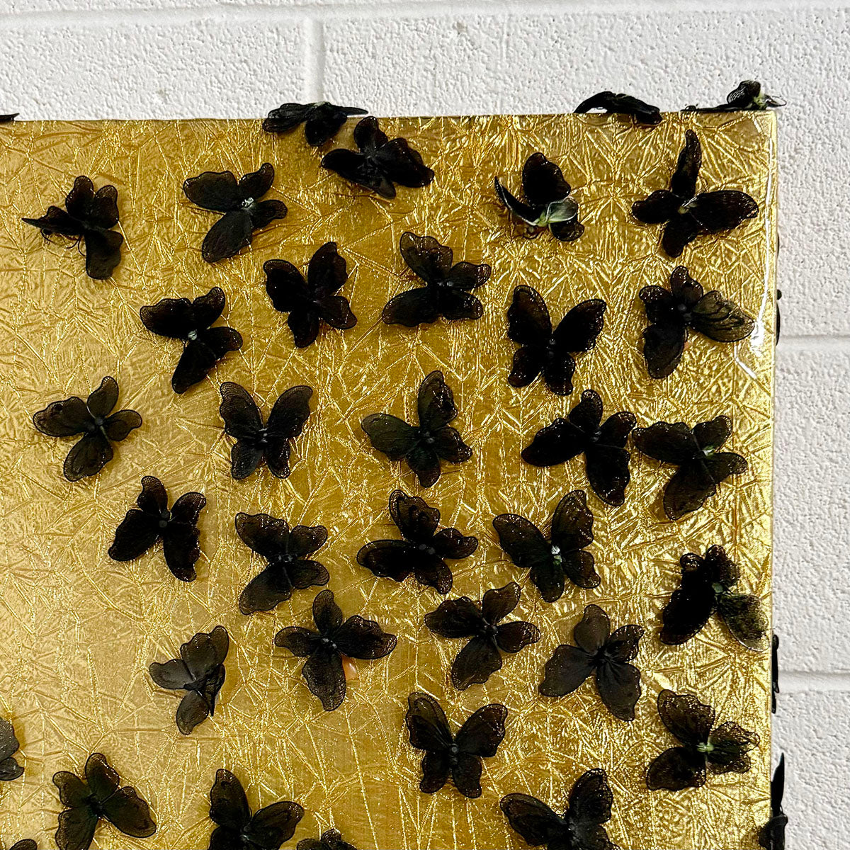"Blackwater Butterflies on Golden Pond" Signed and Dated 2019 on reverse