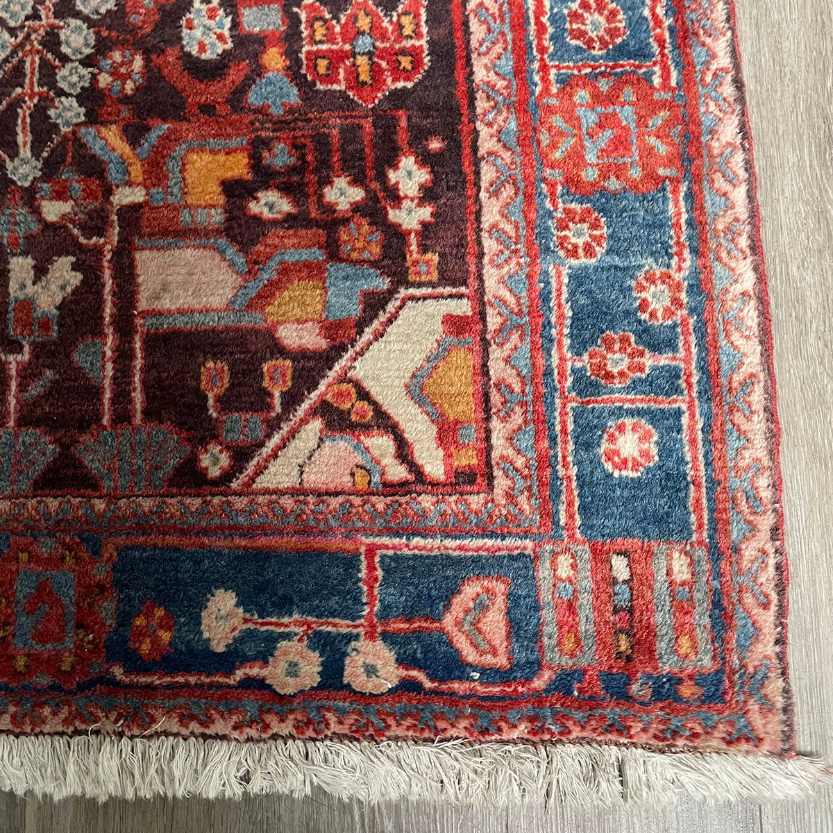 Multi Color Area Rug