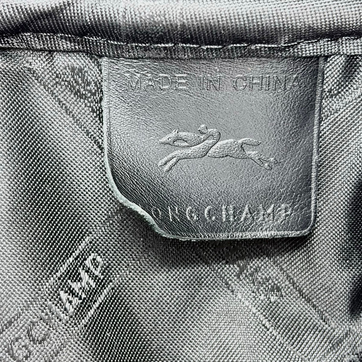 Longchamp Backpack