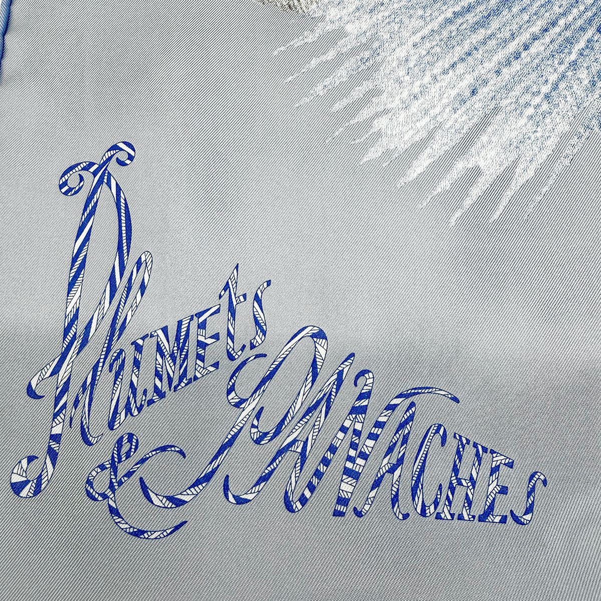 Hermes  "Plumets et Panaches" Scarf