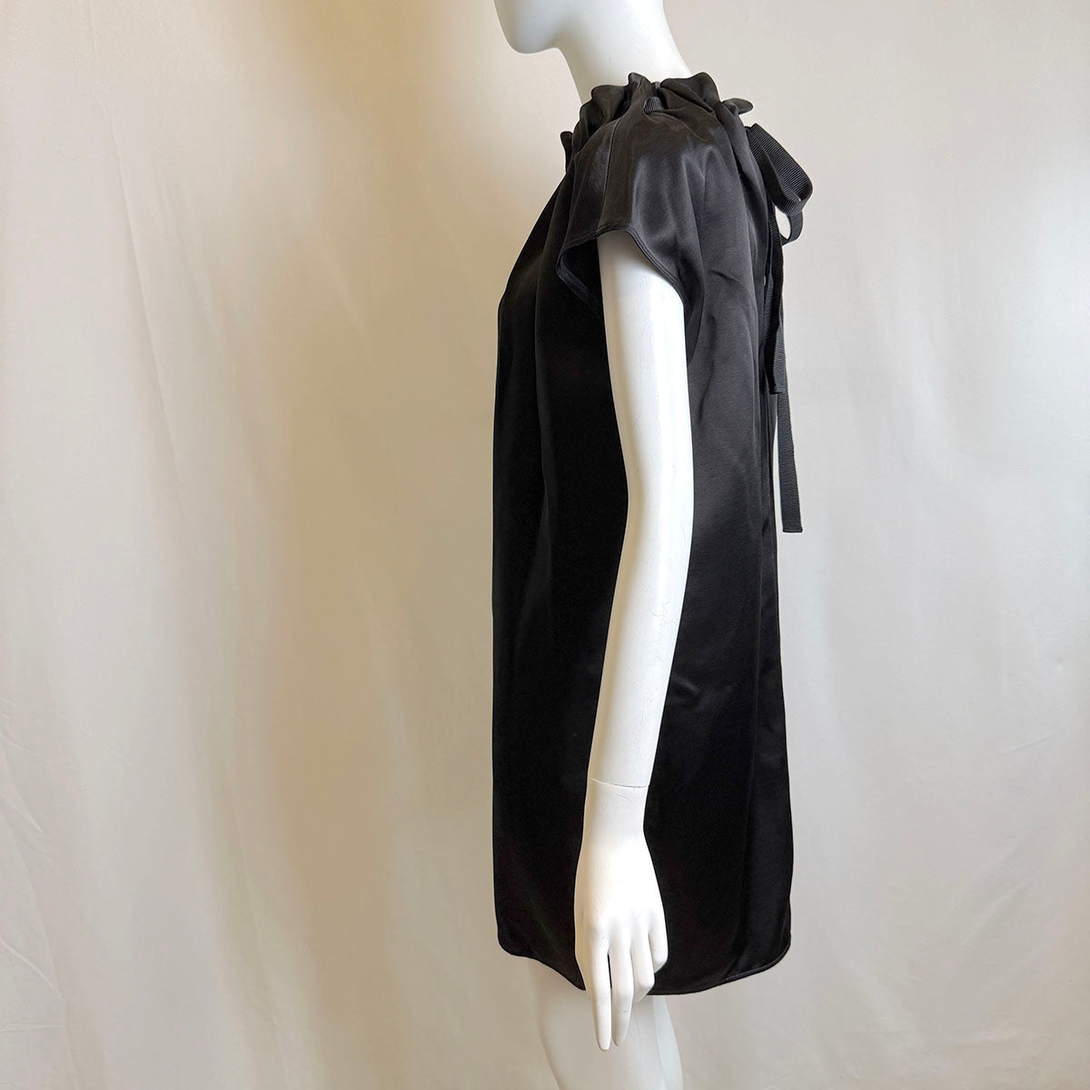 Lanvin Dress