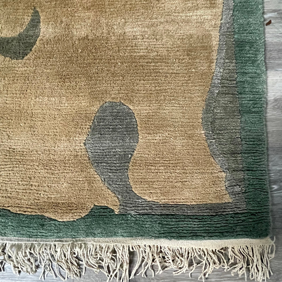 Sea Green & Brown Area Rug