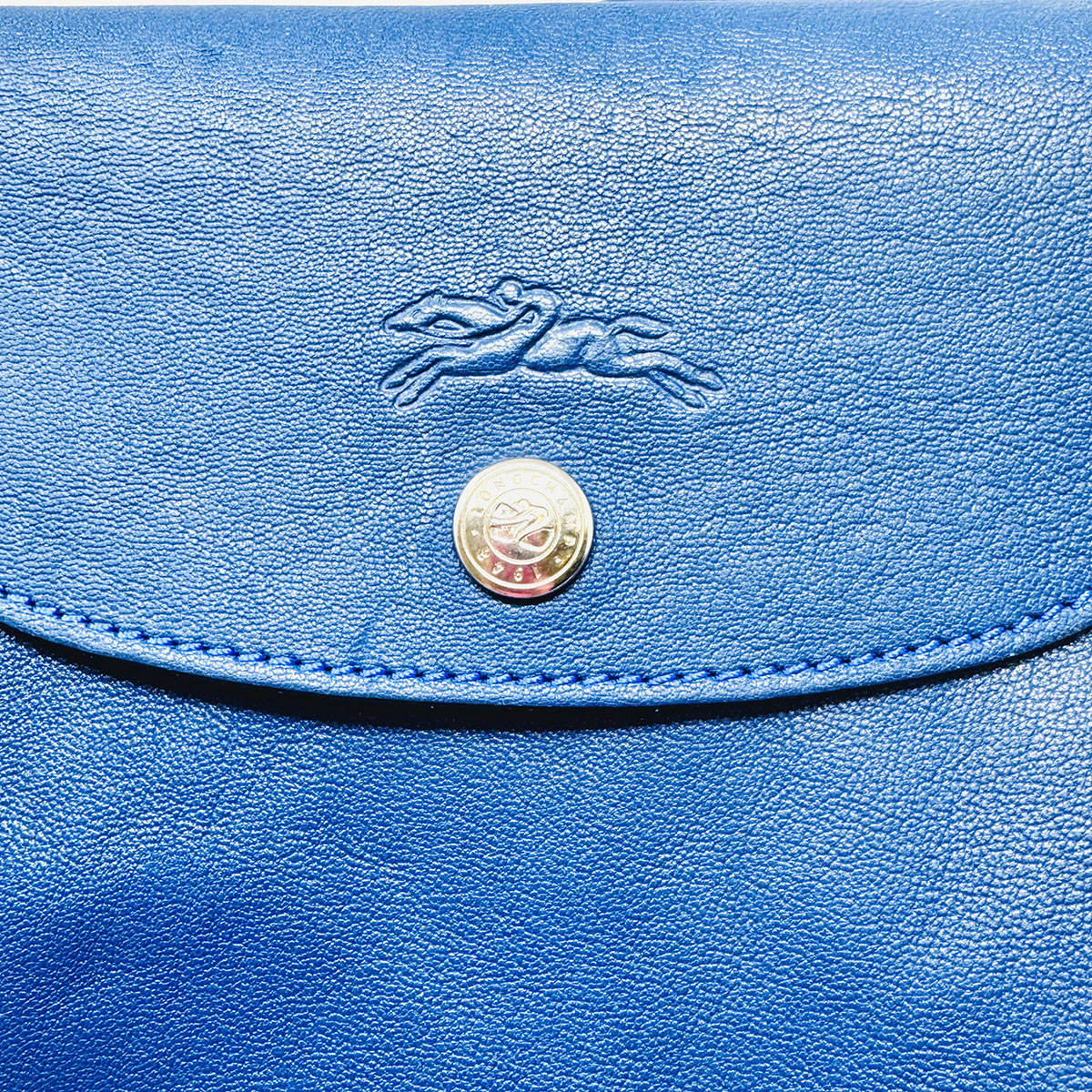 Longchamp Shoulder Bag