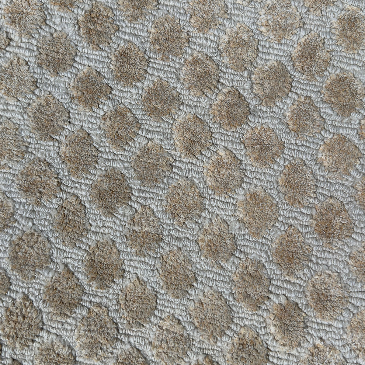 Tan Area Rug