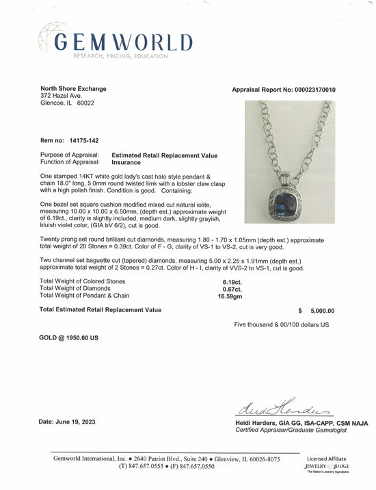 14K White Gold  Necklace with Iolite and Diamond Pendant