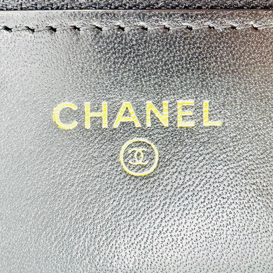 Chanel Quilted Wallet on Chain