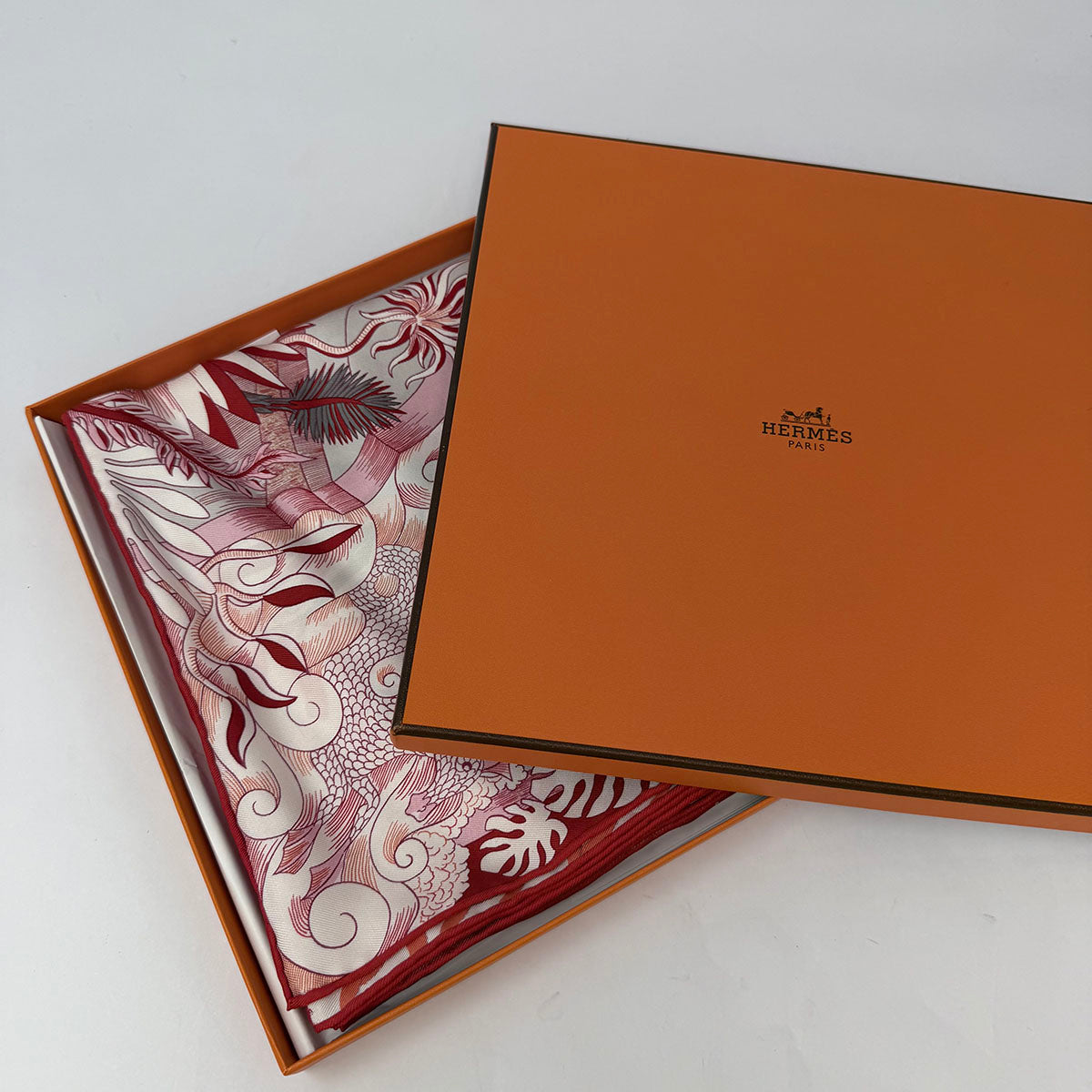 Hermes "Cosmographia Universalis" Scarf