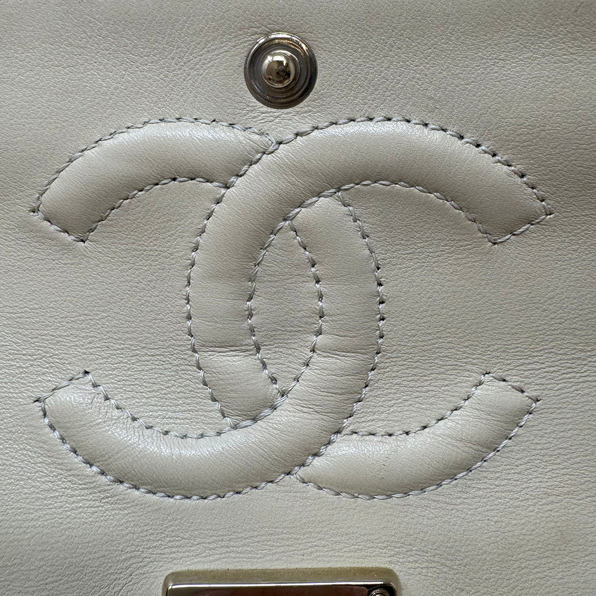 Chanel Medium Alligator Classic Double Flap Bag