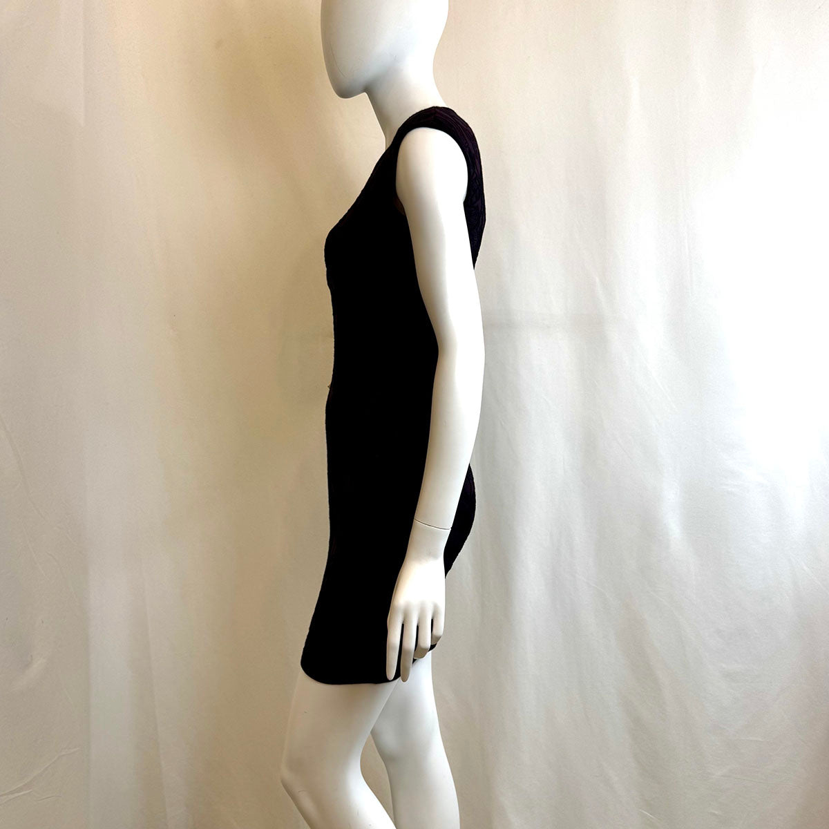 Alexander McQueen Dress