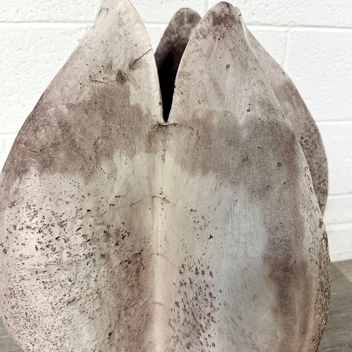 Large Organic Seed Pod Sculpture