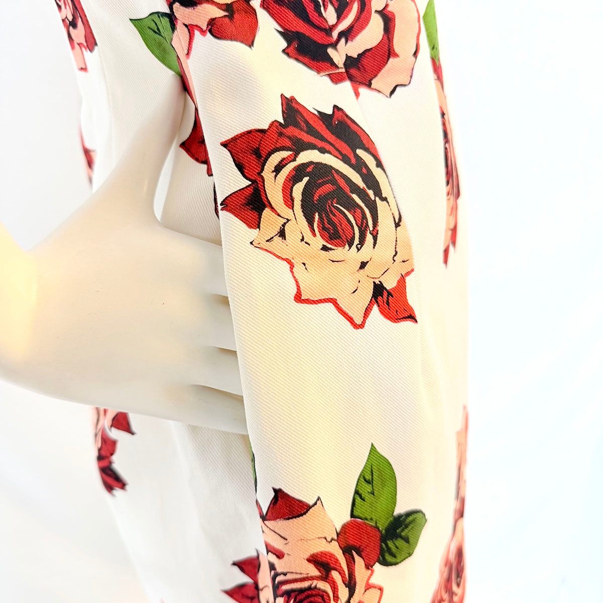 Adam Lippes Dress
